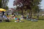 2016-05-05_traunsee - 059_1280